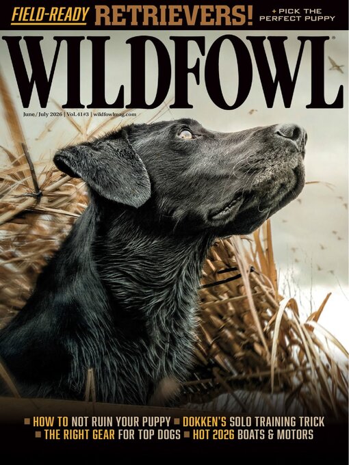 Cover image for Wildfowl